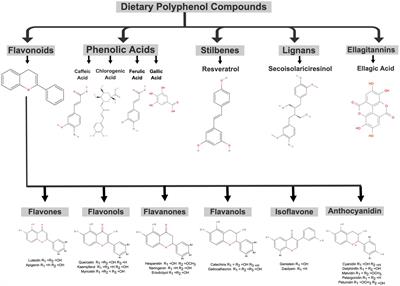 Valorization of polyphenolic compounds from food industry by-products for application in polysaccharide-based nanoparticles